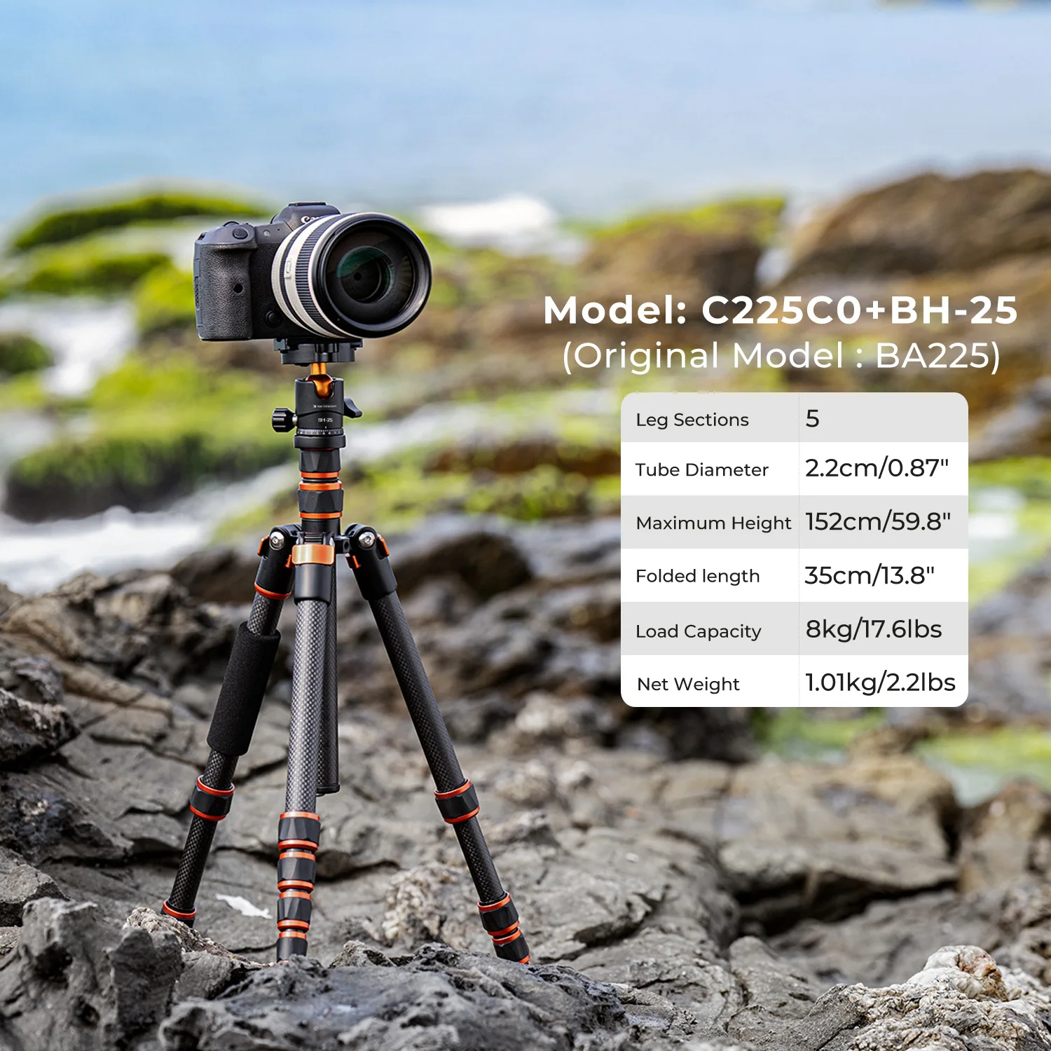K&F Concept Carbon Fiber Camera Tripod with 360° Ball Head - Lightweight Travel Tripod